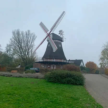 Naturblick Mitten Im Schoenen Cuxland Perfekt Fuer Familien Mit Hunden