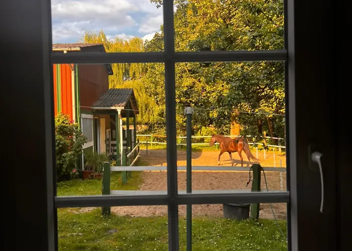 Naturblick Mitten Im Schoenen Cuxland Perfekt Fuer Familien Mit Hunden * Stinstedt